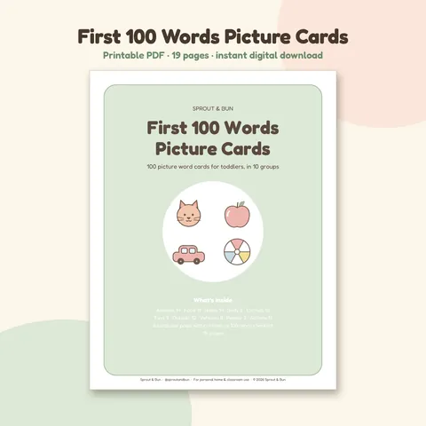 First 100 Words Picture Cards cover